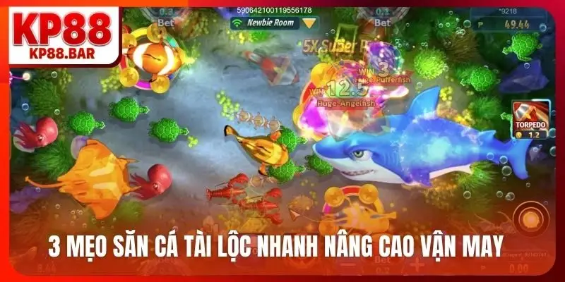 3 mẹo săn cá tài lộc nhanh nâng cao vận may