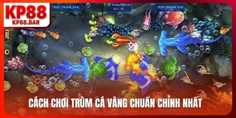 Cách chơi trùm cá vàng chuẩn chỉnh nhất