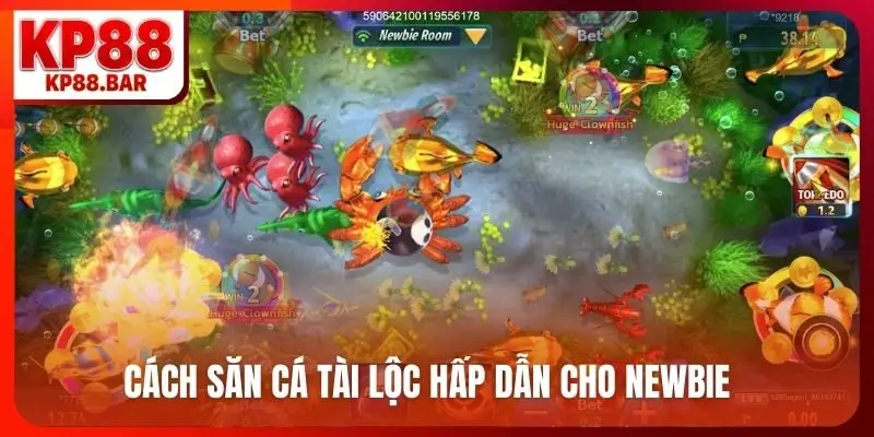 Cách săn cá tài lộc hấp dẫn cho newbie