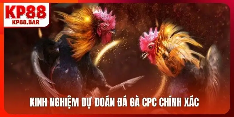 Đá Gà CPC - Sảnh Cược Kịch Tính Bậc Nhất, Ăn Độ Cao Kinh nghiệm dự đoán đá gà CPC chính xác