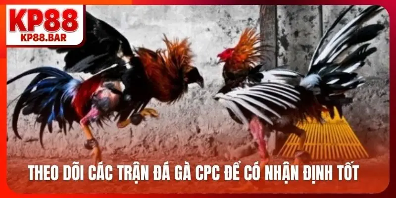 Đá Gà CPC - Sảnh Cược Kịch Tính Bậc Nhất, Ăn Độ Cao Theo dõi các trận đá gà CPC để có nhận định tốt